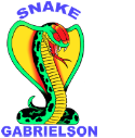 hbsnakesurf.com